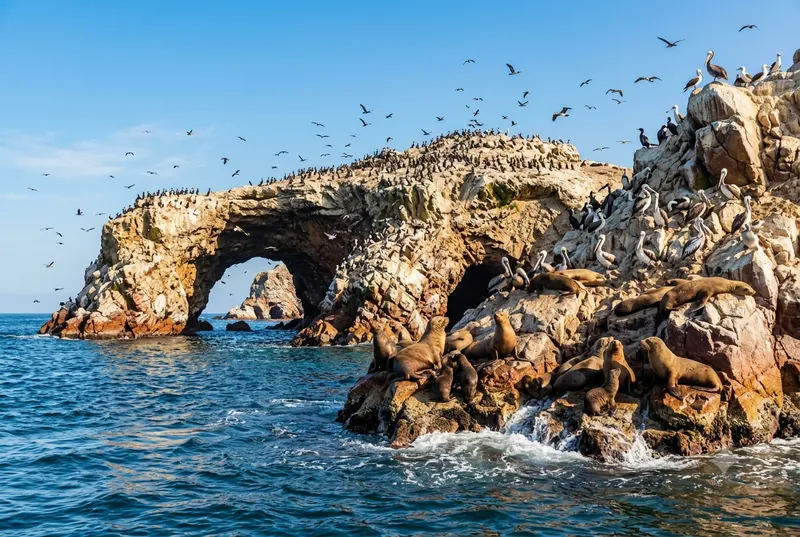 Ballestas Islands rock arch with sea lions and seabirds — Tour 2
